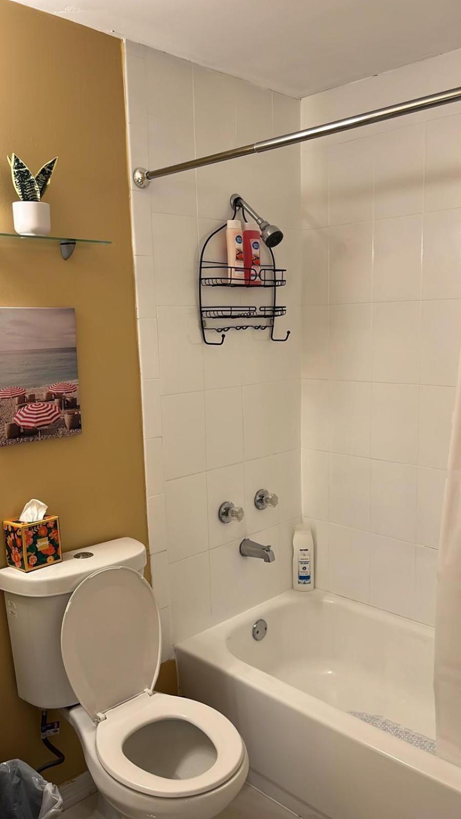 Villa Beautiful, Fully Furnished 4Bed 2Bath House - 5 Minute Walk To Miracle Mile Downtown Coral Gables Miami Exterior foto